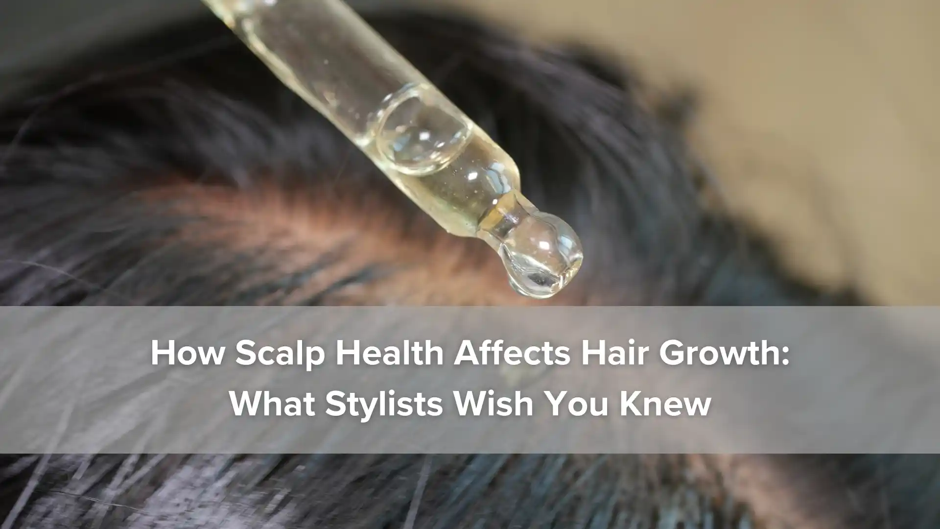 How Scalp Health Affects Hair Growth_ What Stylists Wish You Knew image